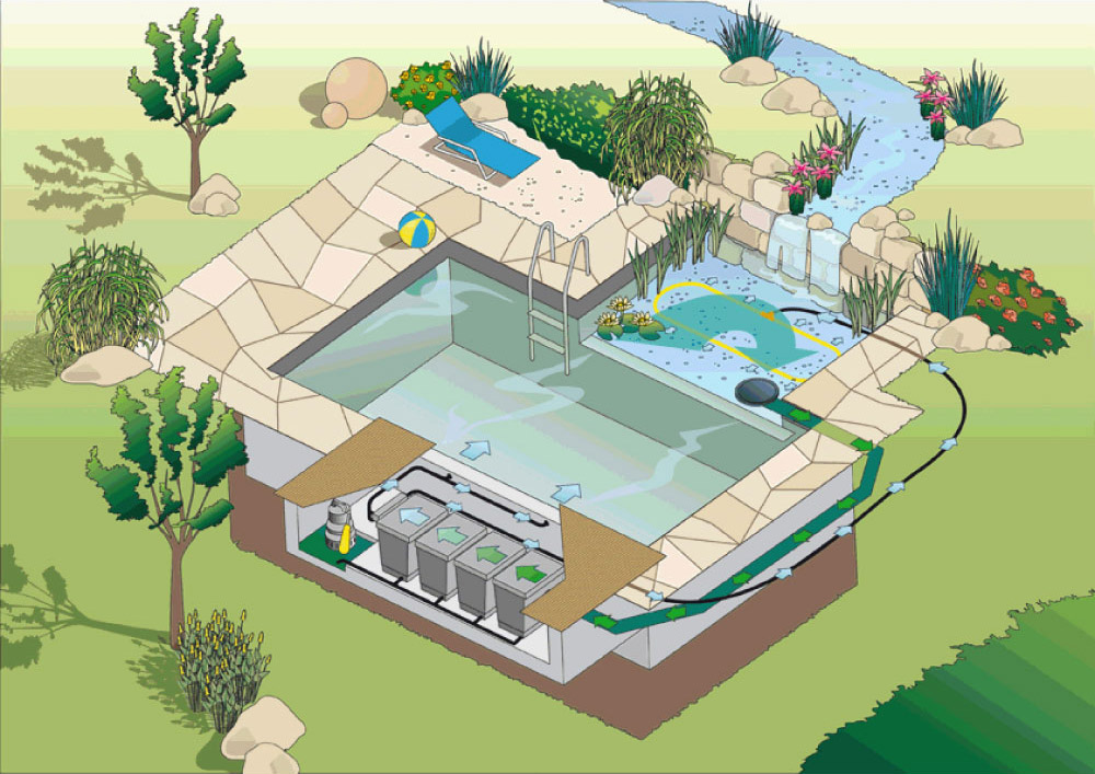 Конструкция водоема. Пруд с биоплато проект. Бассейн с биоплато. Пруд бассейн с биоплато. План пруда с биоплато.